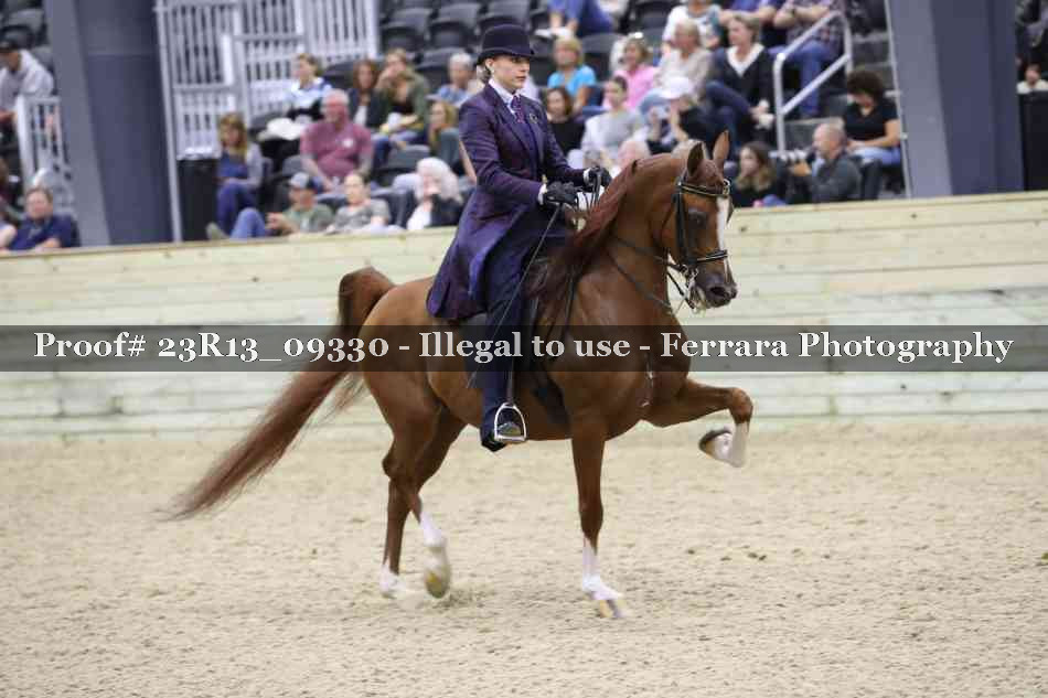 Proof Number 23R13_09330