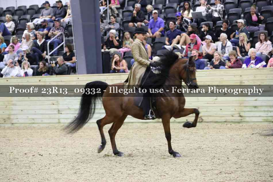 Proof Number 23R13_09332