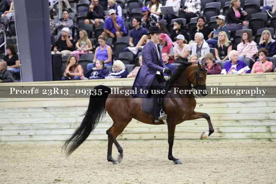 Proof Number 23R13_09335