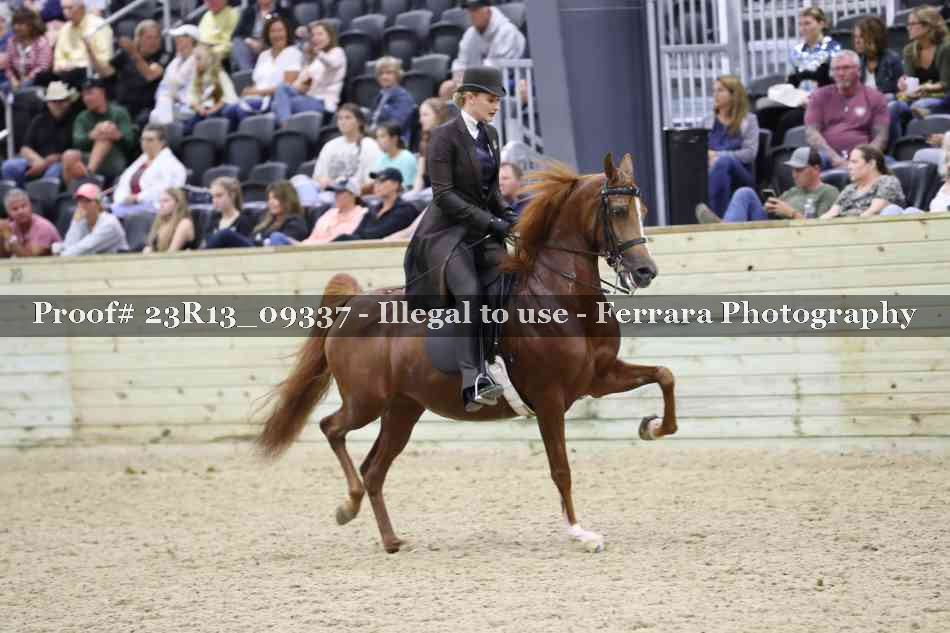 Proof Number 23R13_09337