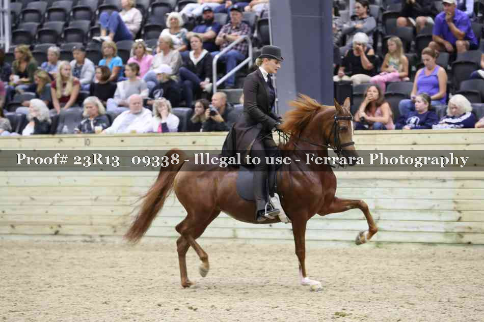 Proof Number 23R13_09338