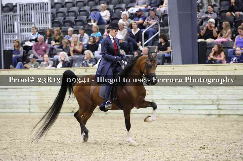 Proof Number 23R13_09341