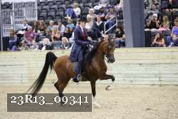 23R13_09341 thumbnail