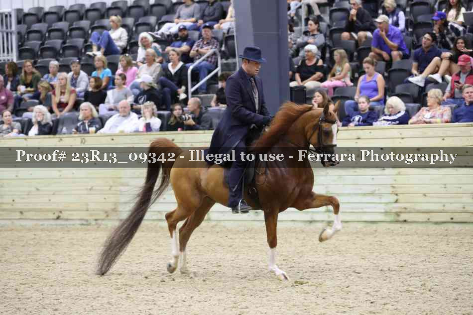 Proof Number 23R13_09342