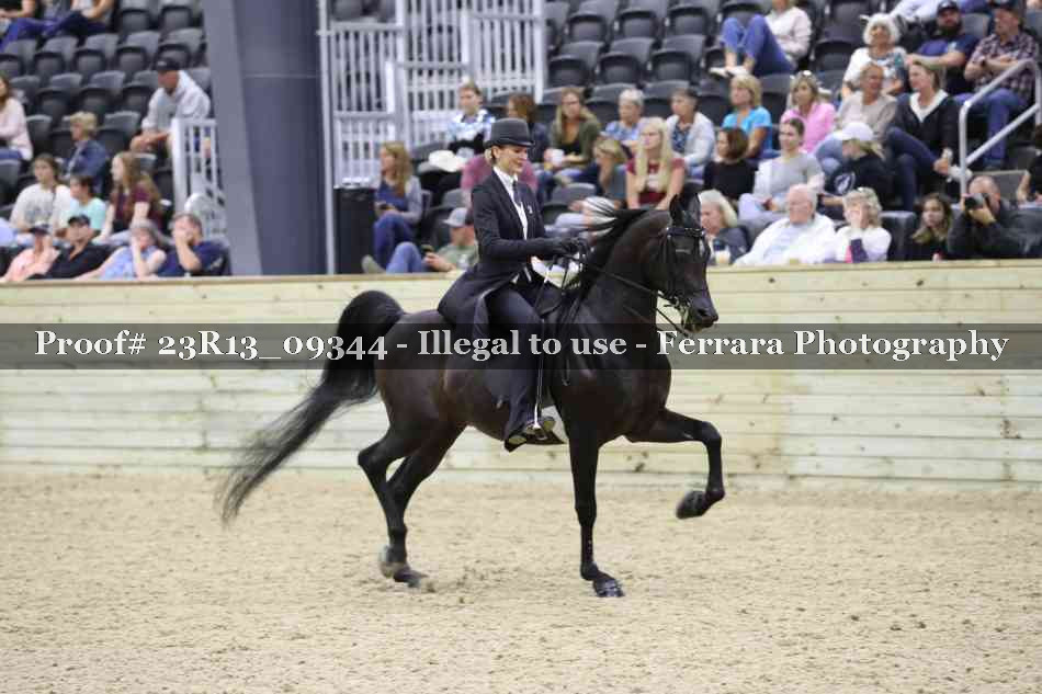 Proof Number 23R13_09344