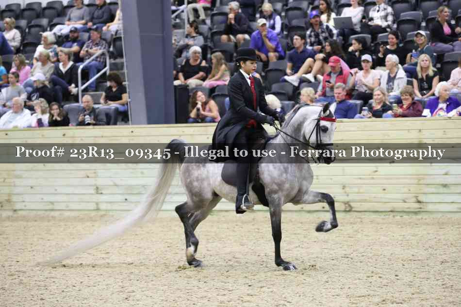 Proof Number 23R13_09345