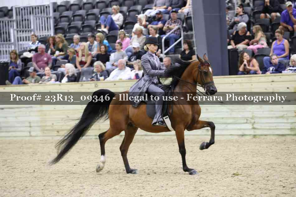 Proof Number 23R13_09346