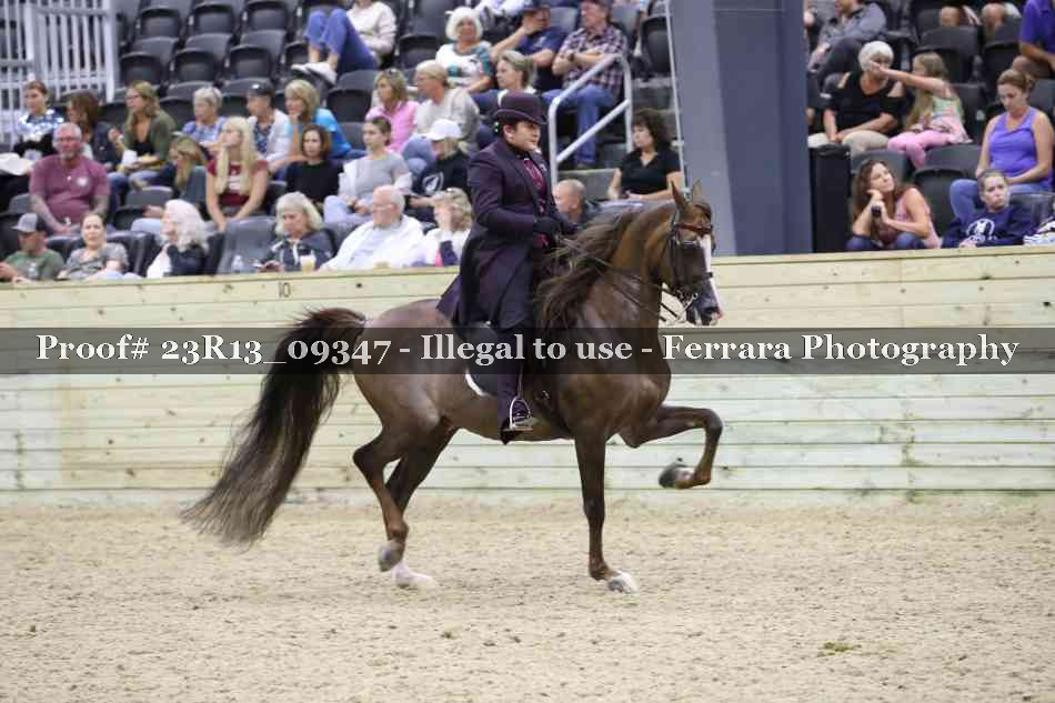 Proof Number 23R13_09347