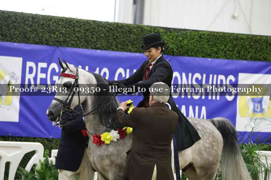 Proof Number 23R13_09350