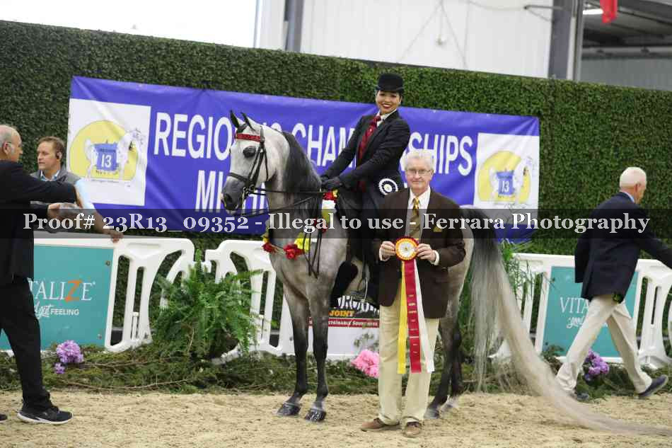 Proof Number 23R13_09352