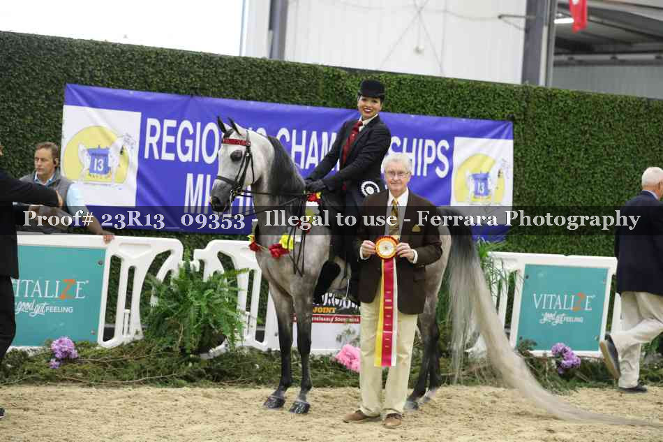Proof Number 23R13_09353