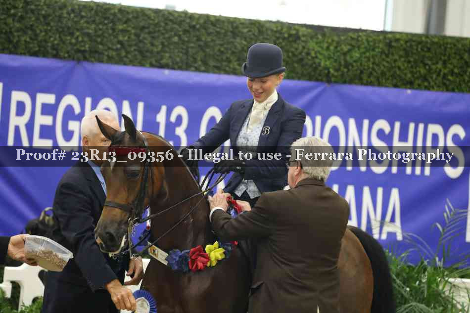 Proof Number 23R13_09356