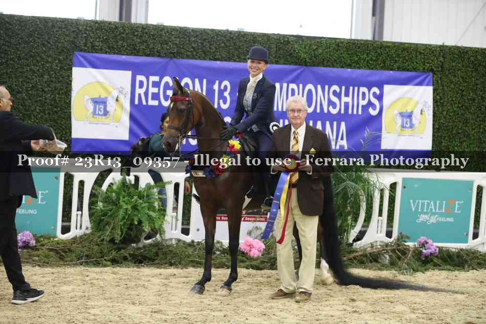Proof Number 23R13_09357