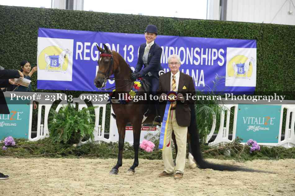 Proof Number 23R13_09358