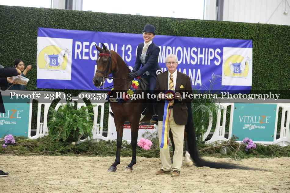 Proof Number 23R13_09359