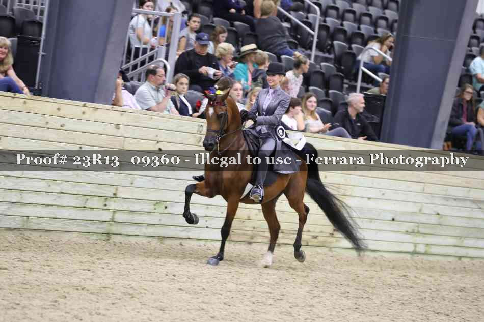 Proof Number 23R13_09360