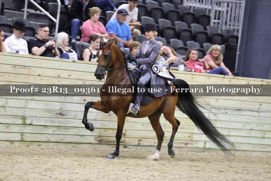 Proof Number 23R13_09361