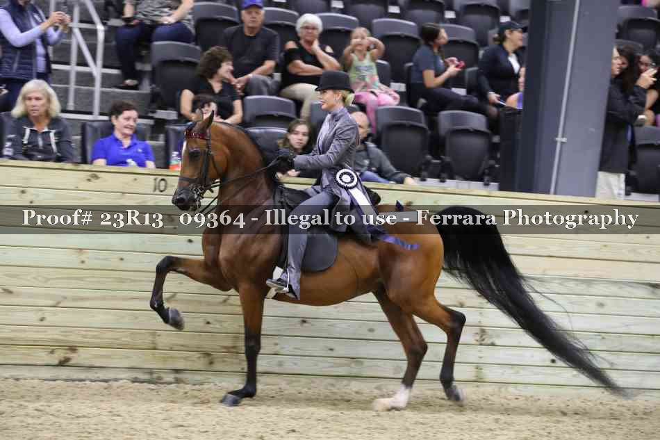 Proof Number 23R13_09364