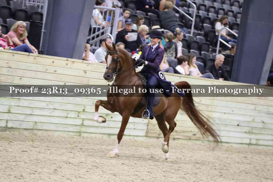 Proof Number 23R13_09365