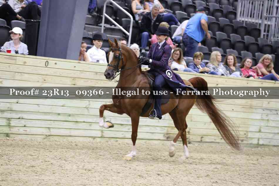 Proof Number 23R13_09366