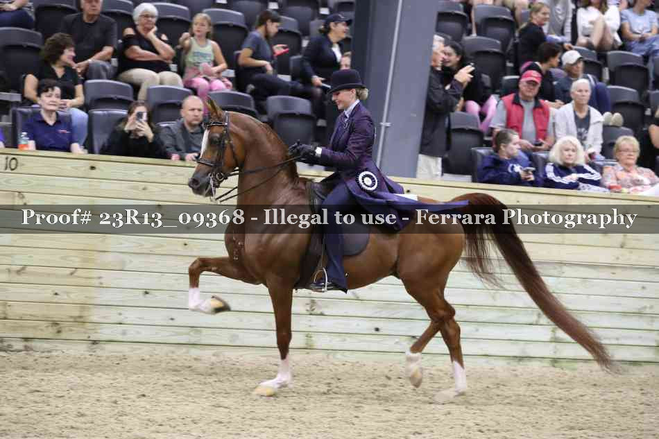 Proof Number 23R13_09368