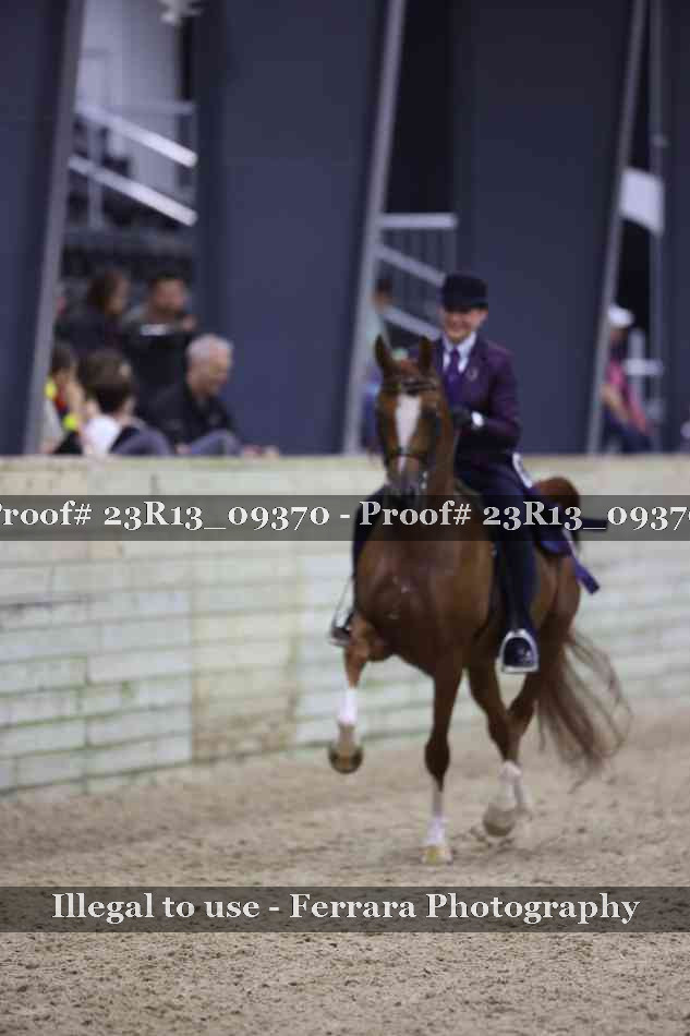 Proof Number 23R13_09370