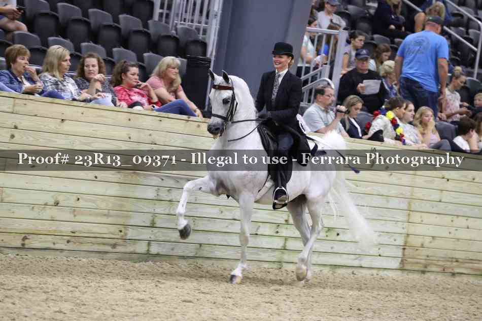 Proof Number 23R13_09371