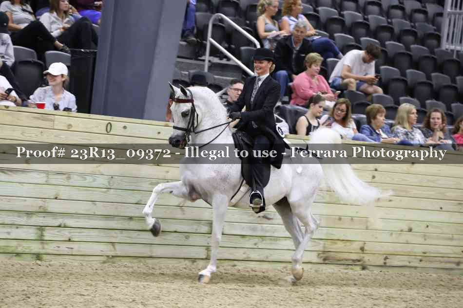 Proof Number 23R13_09372