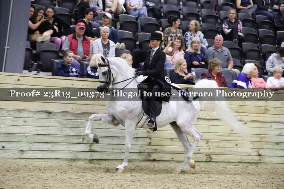 Proof Number 23R13_09373