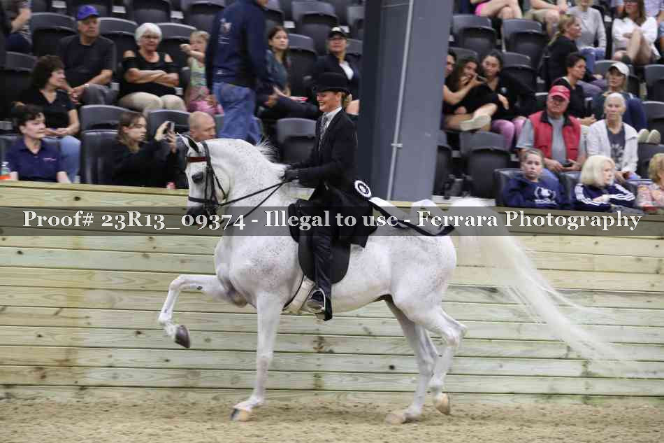 Proof Number 23R13_09374