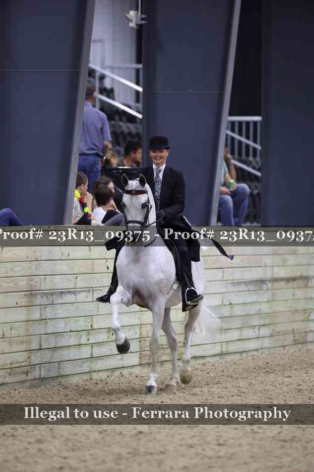 Proof Number 23R13_09375
