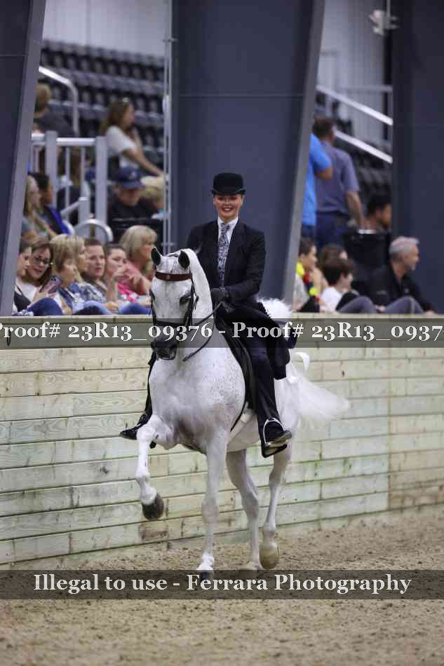 Proof Number 23R13_09376