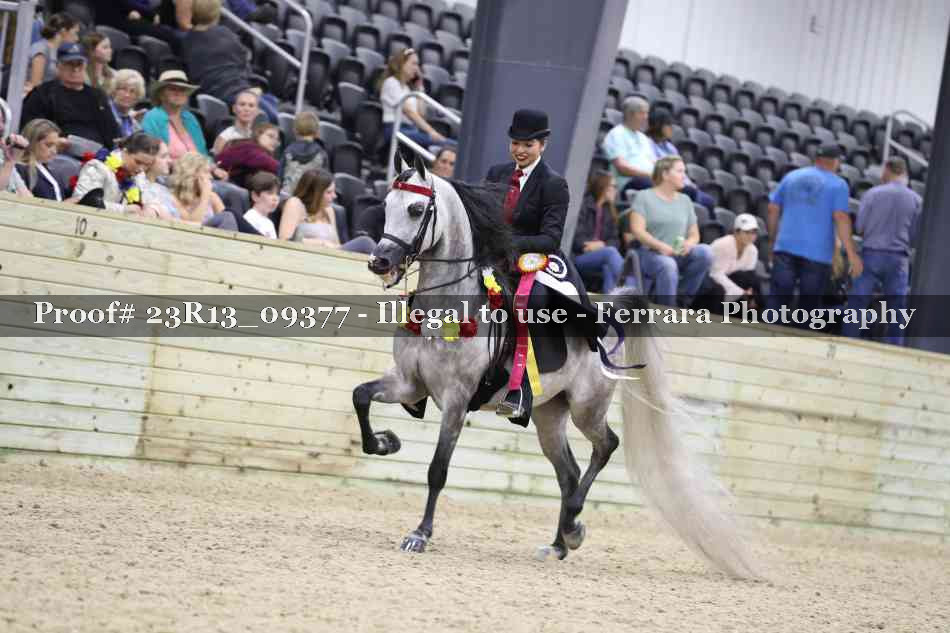 Proof Number 23R13_09377