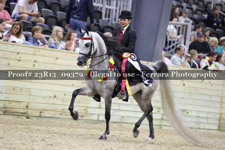 Proof Number 23R13_09379