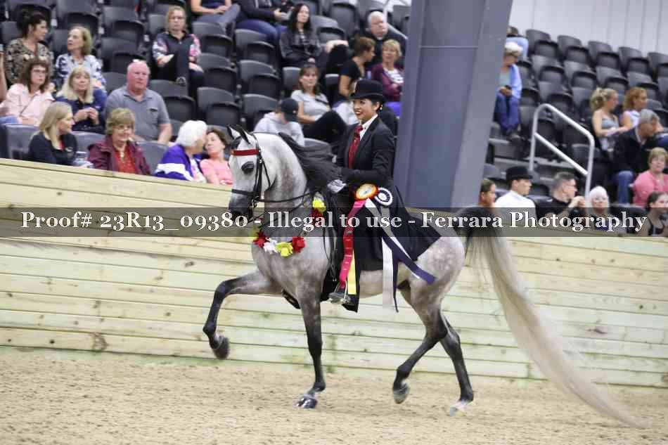 Proof Number 23R13_09380