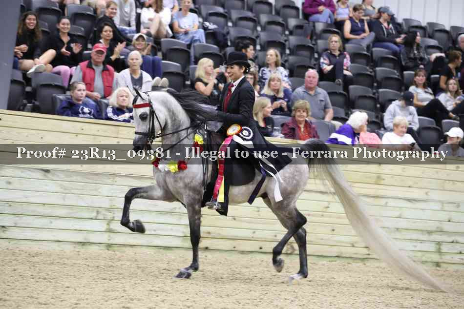 Proof Number 23R13_09381