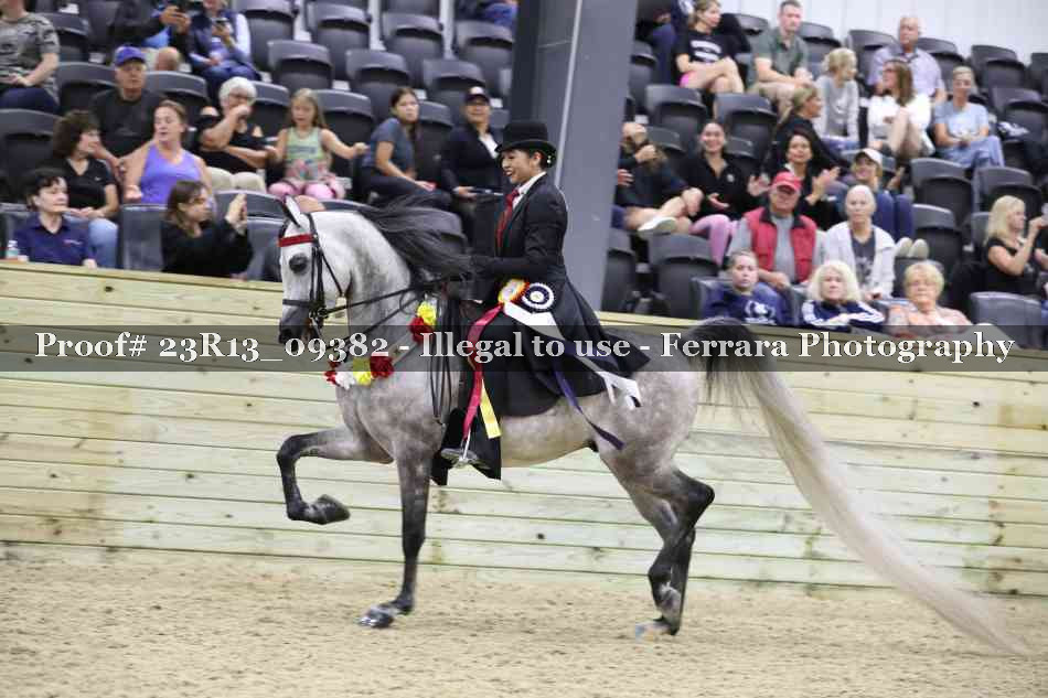 Proof Number 23R13_09382