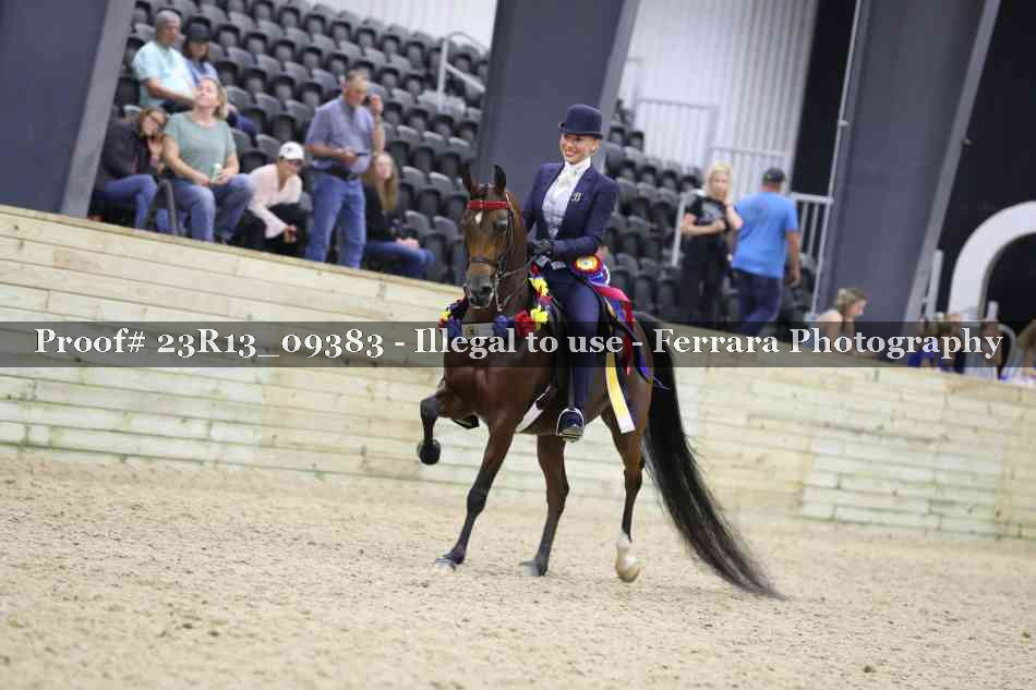 Proof Number 23R13_09383