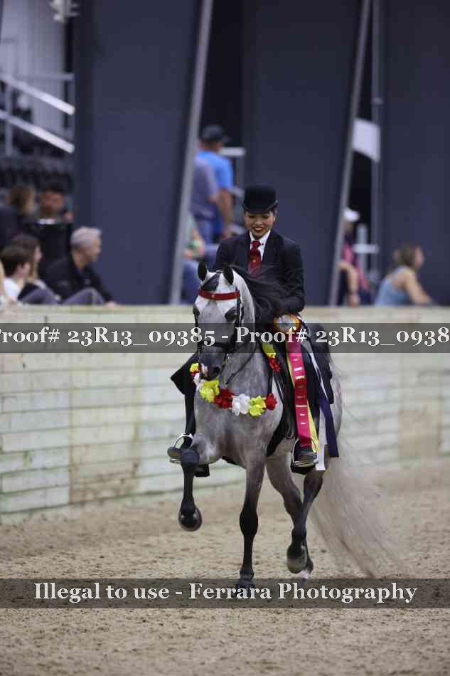 Proof Number 23R13_09385