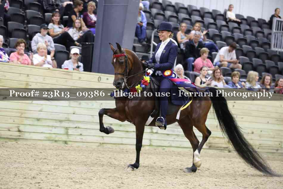 Proof Number 23R13_09386