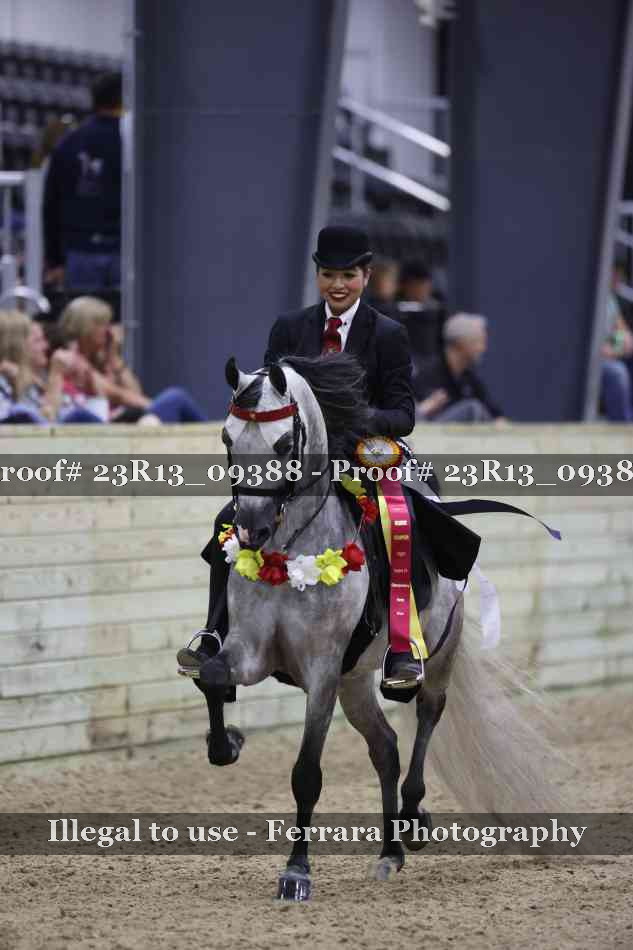 Proof Number 23R13_09388