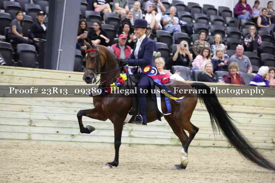 Proof Number 23R13_09389