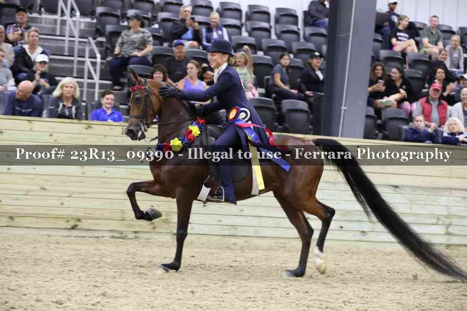 Proof Number 23R13_09390