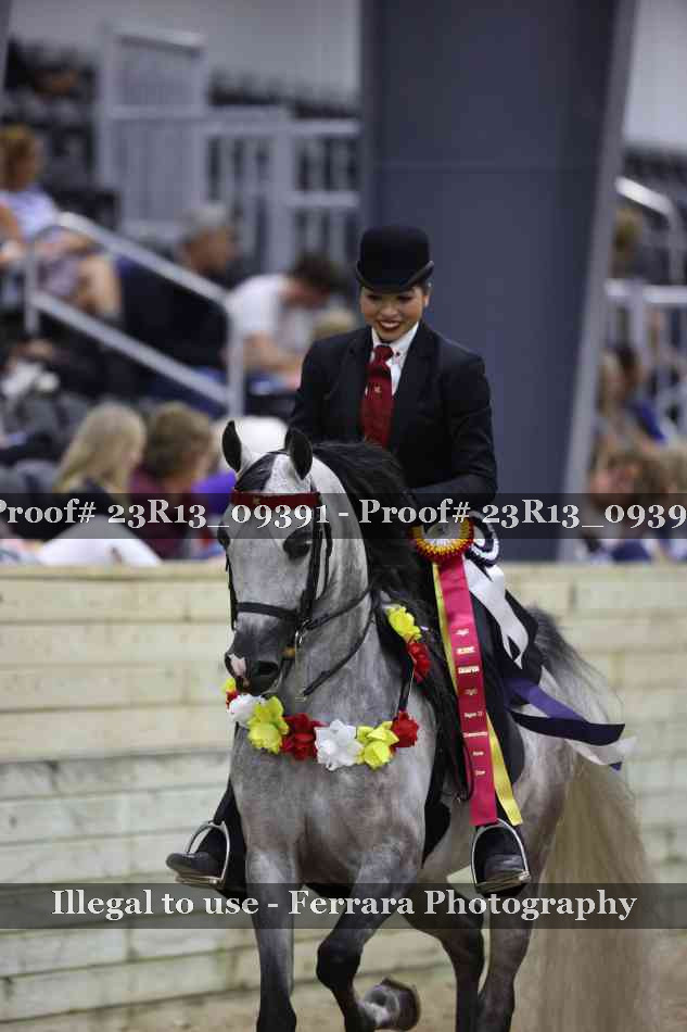 Proof Number 23R13_09391