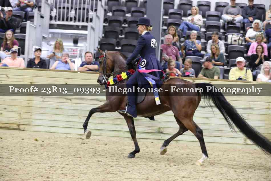 Proof Number 23R13_09393