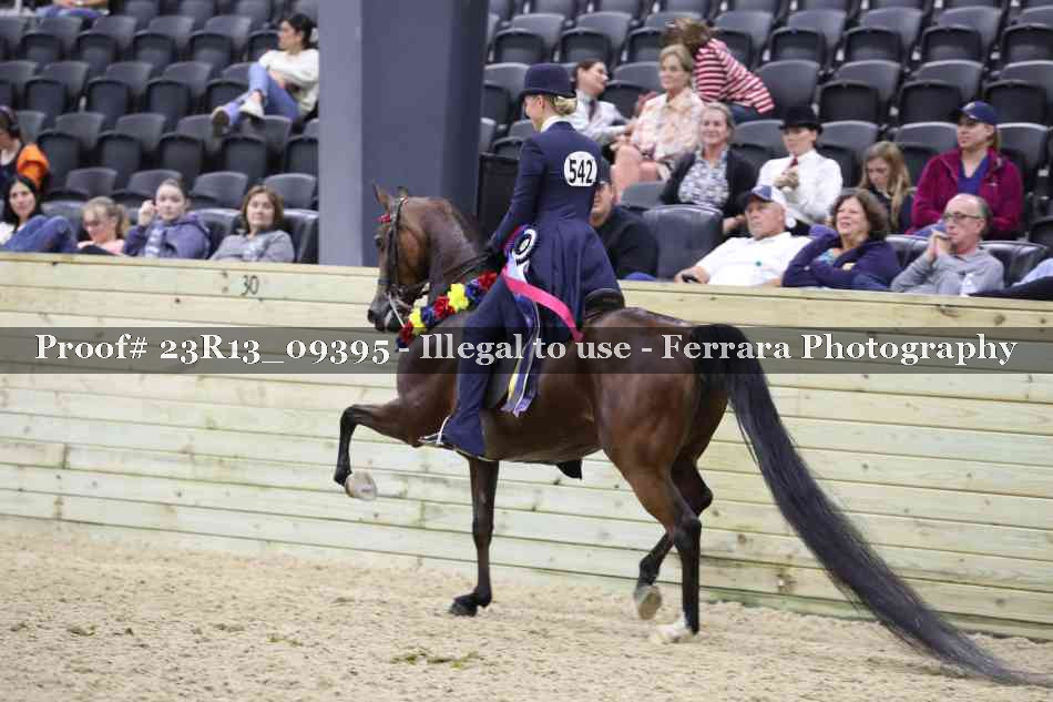Proof Number 23R13_09395