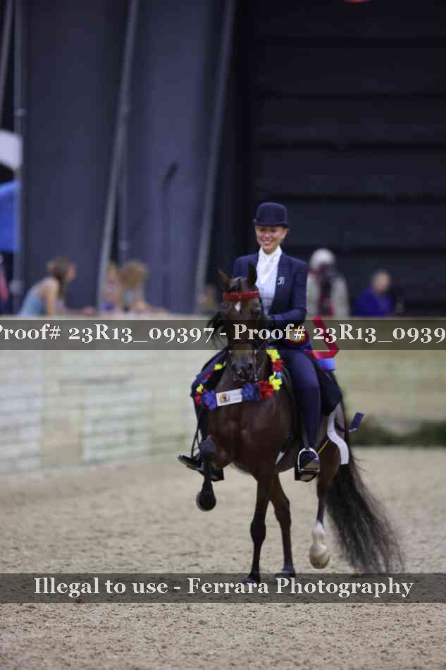 Proof Number 23R13_09397