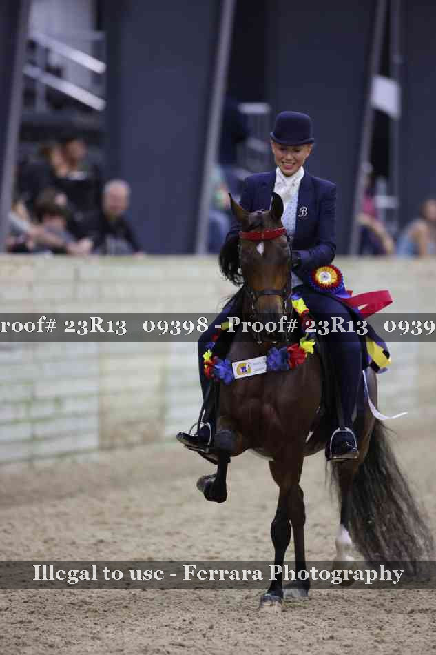 Proof Number 23R13_09398