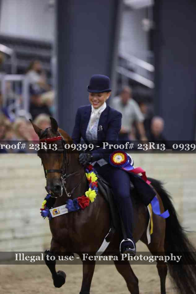 Proof Number 23R13_09399