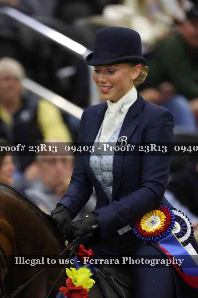 Proof Number 23R13_09403